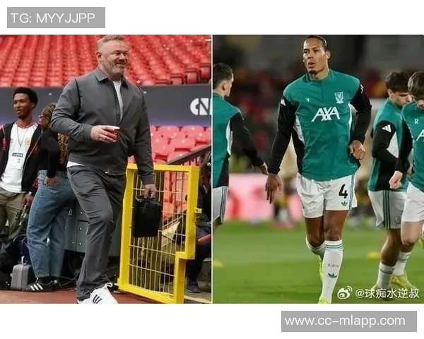 希勒建议范戴克用精彩表现反击鲁尼批评以实际行动证明自己 希勒建议范戴克用精彩表现反击鲁尼批评以实际行动证明自己